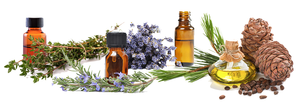 Essential Oils and their role in hair loss prevention